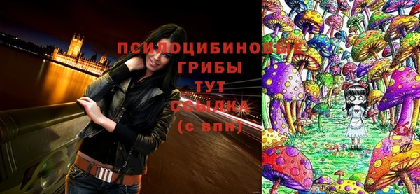 2c-b Верхнеуральск