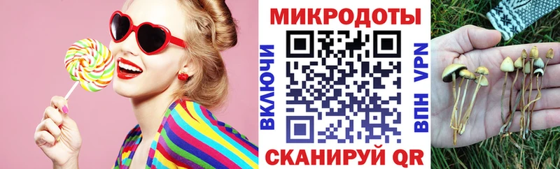 Галлюциногенные грибы Psilocybe  Шадринск 